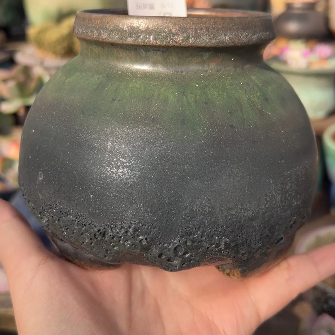 1987花盆玩家盆020