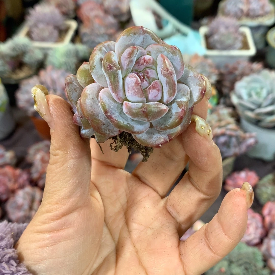 哈哈哈哈哈哈哈哈哈哈