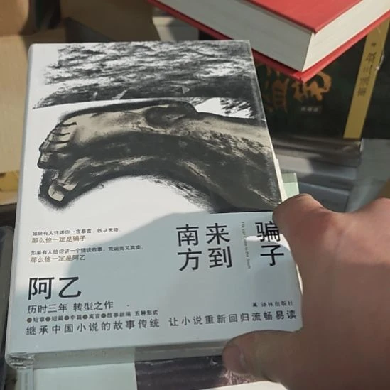 骗子来到南方，阿姨历时三年转型之作。