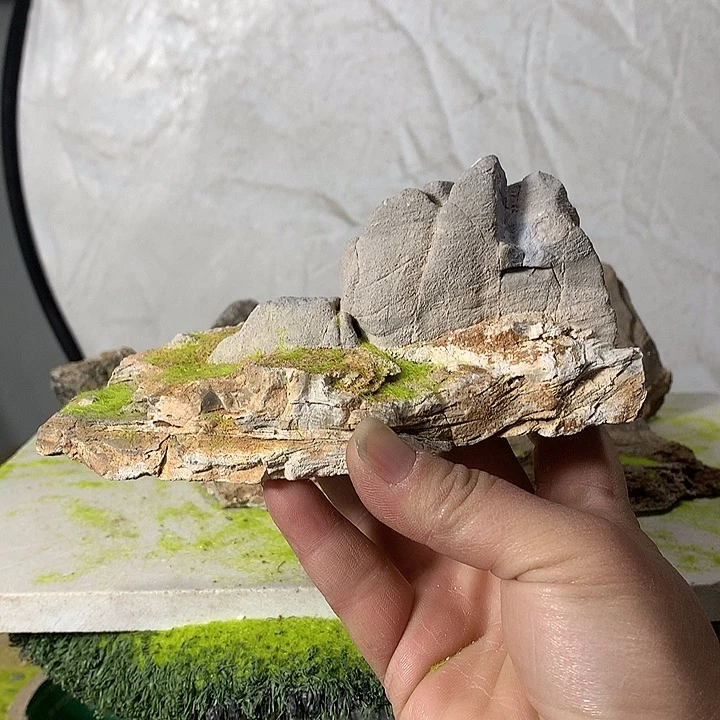 花盆摆件家居装饰