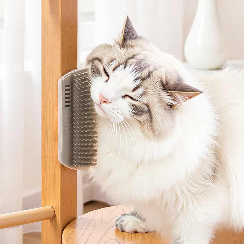 宠物猫咪挠痒蹭毛器薄荷球梳子墙角逗猫解闷自嗨玩具除毛蹭痒神器