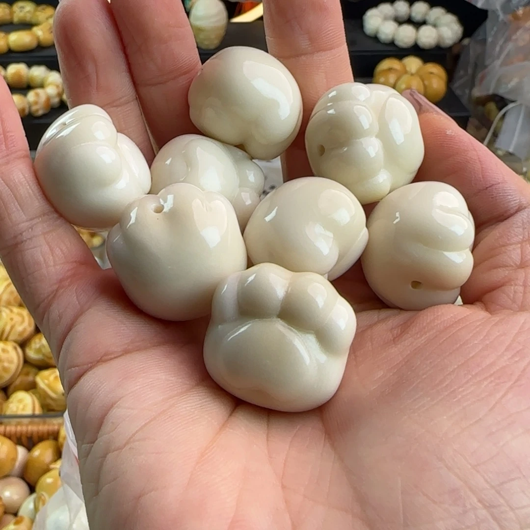 十***啊吊坠菩提根/象牙果牙果卡23种抓11颗