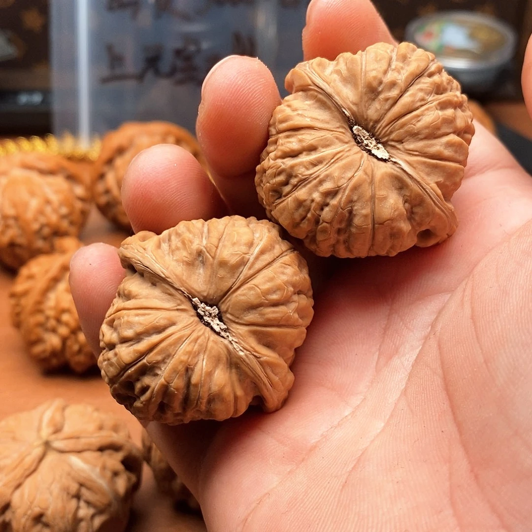 全品南瓜40黄金尺寸