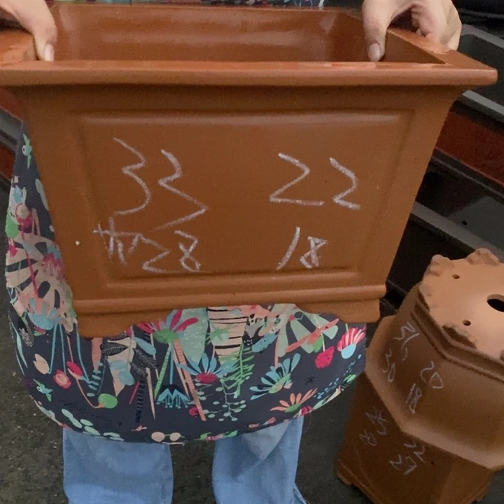 紫砂花盆只顾自己不顾后果