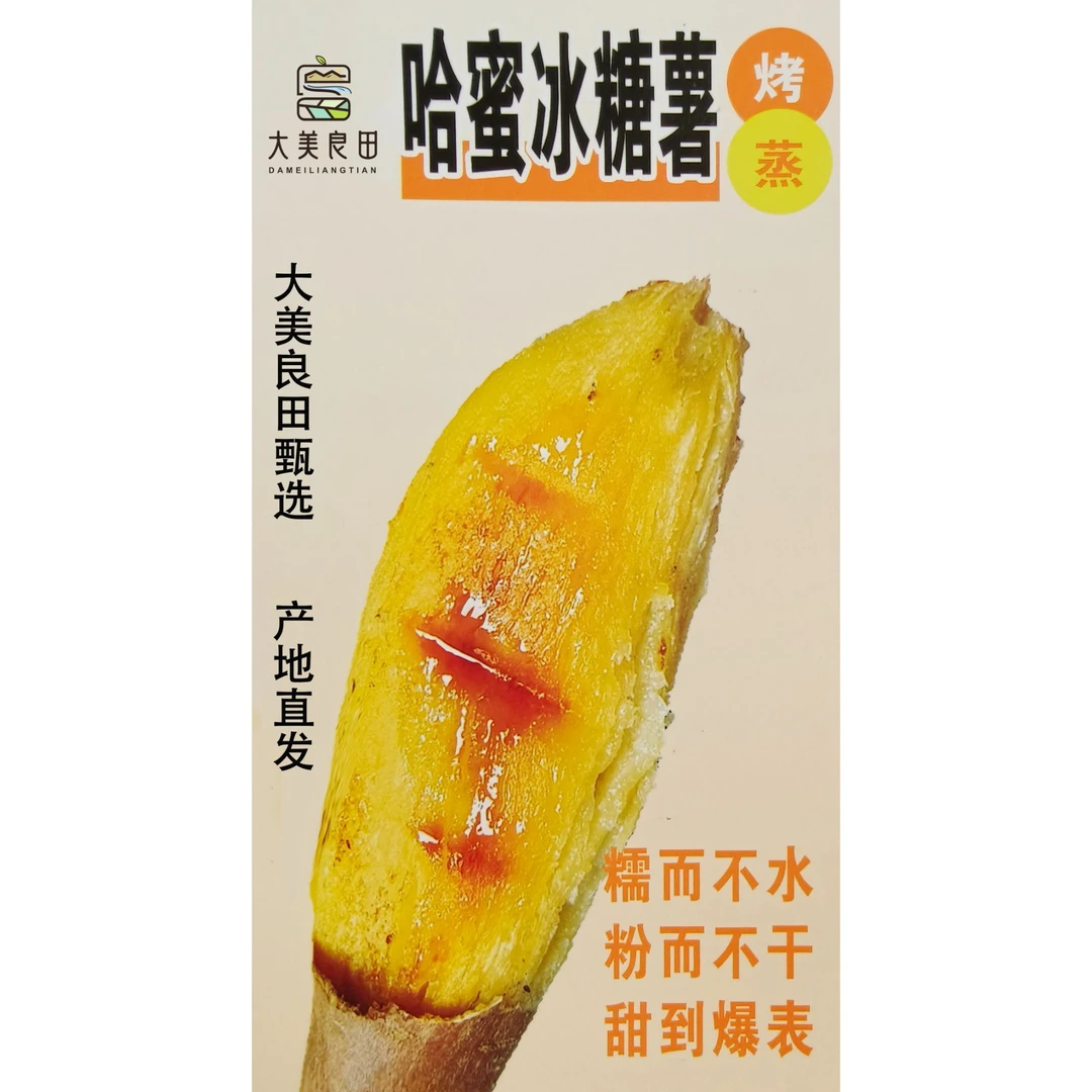 正宗宁夏银川沙地新鲜现挖哈密冰糖薯（中大果）