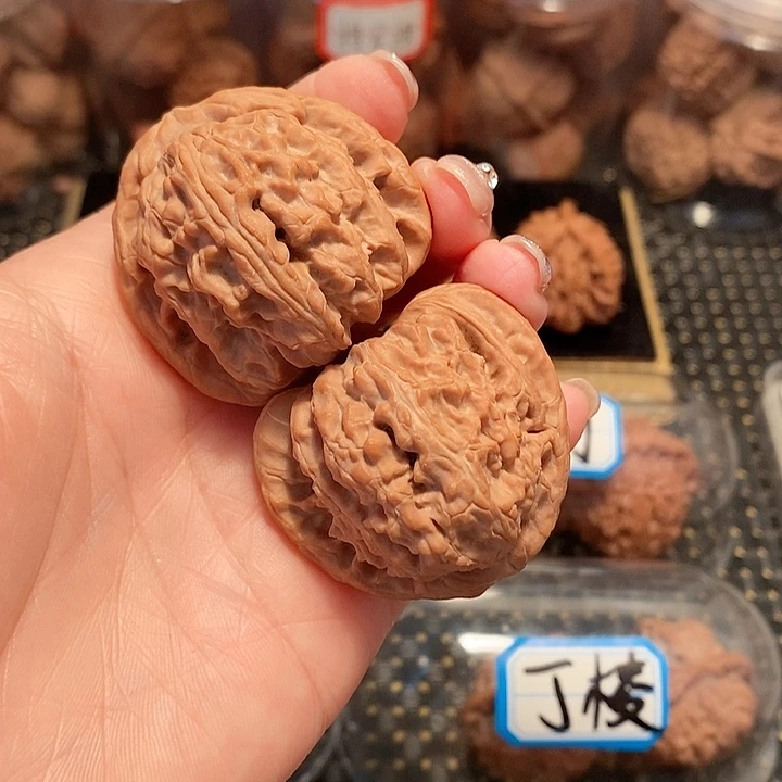 核桃手串/手链愣****乐41尺寸白狮子