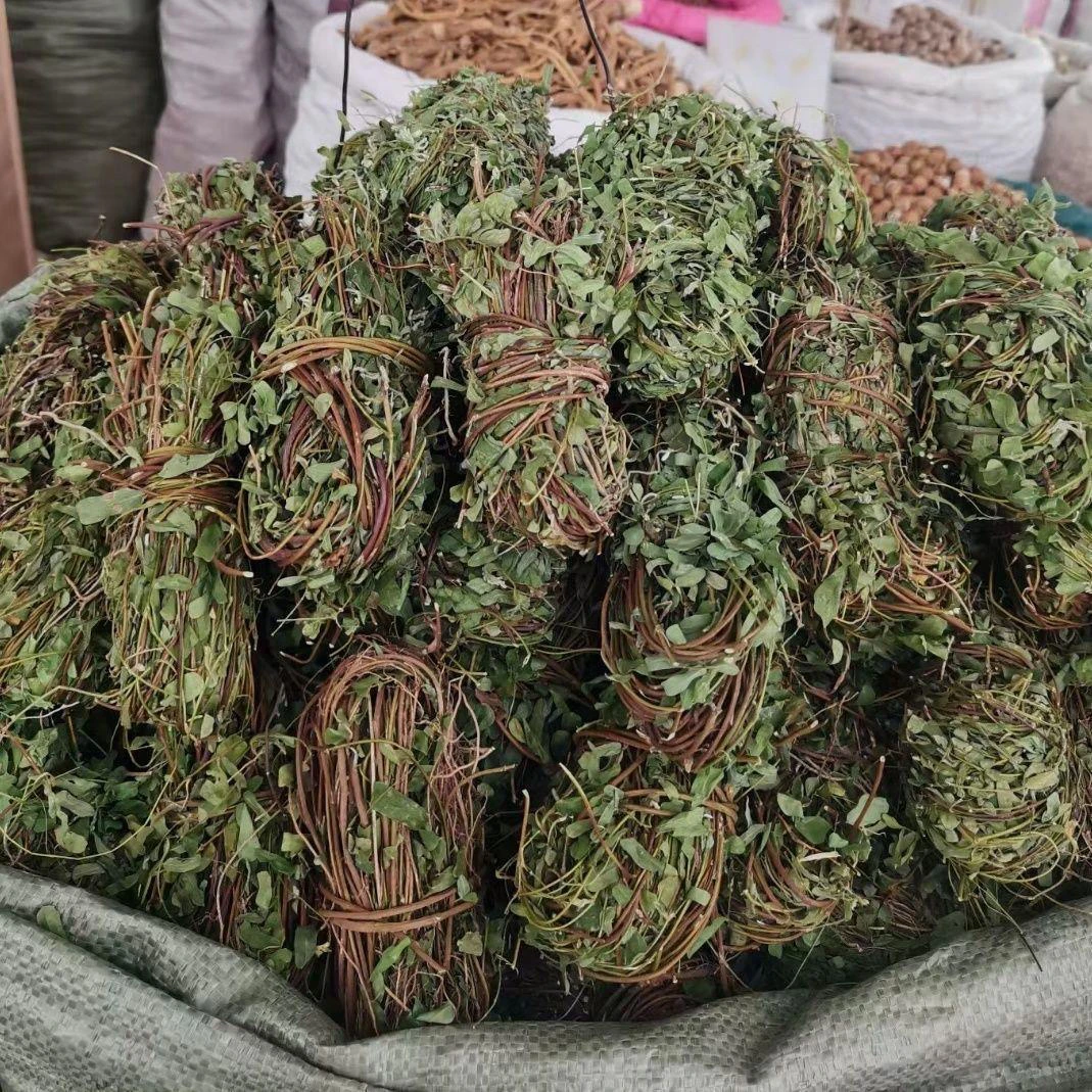 [带叶鸡骨草]可煮水煲汤