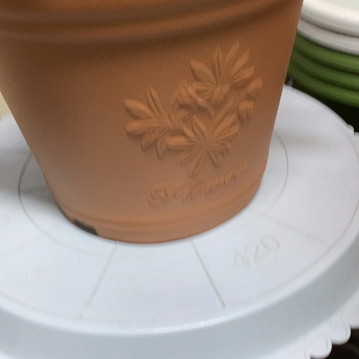 3个中号浮雕无托红色伊特