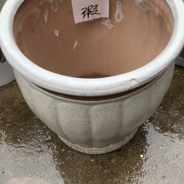 花盆里的小猫咪们都好可爱呀打脸笑