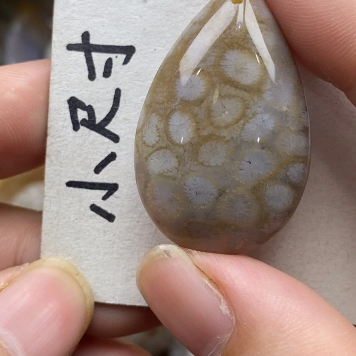 硅化珊瑚（珊瑚玉）未镶嵌颈饰