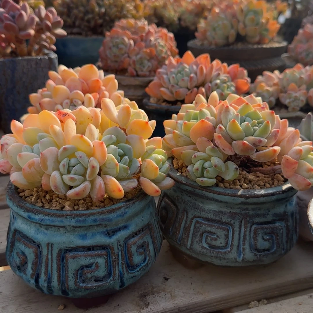 青铜回字纹内口径10左右 2个包邮