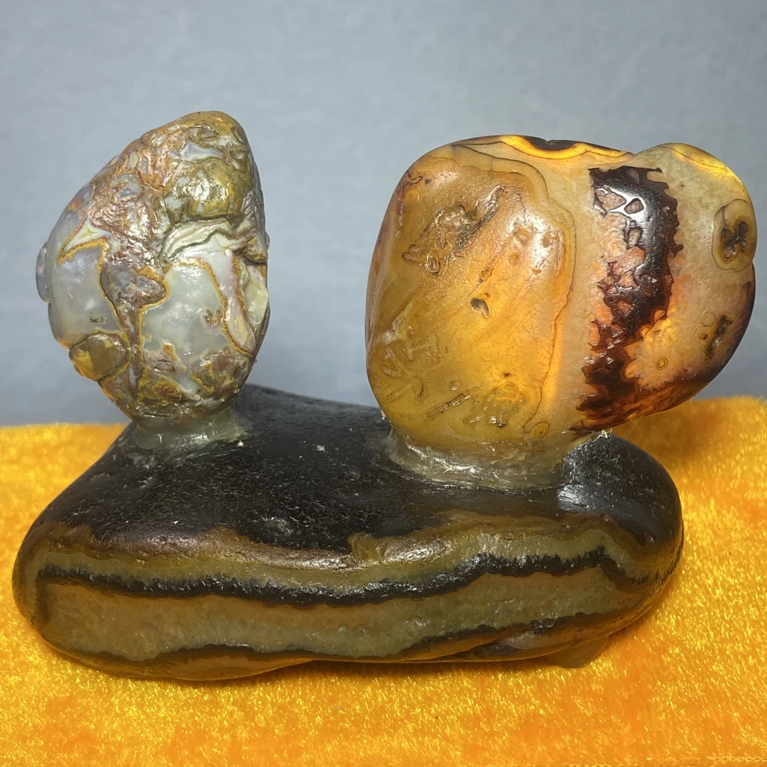 《龙凤呈祥》阿拉善银根草花奇石马料精品画面石自然艺术亿年奇石