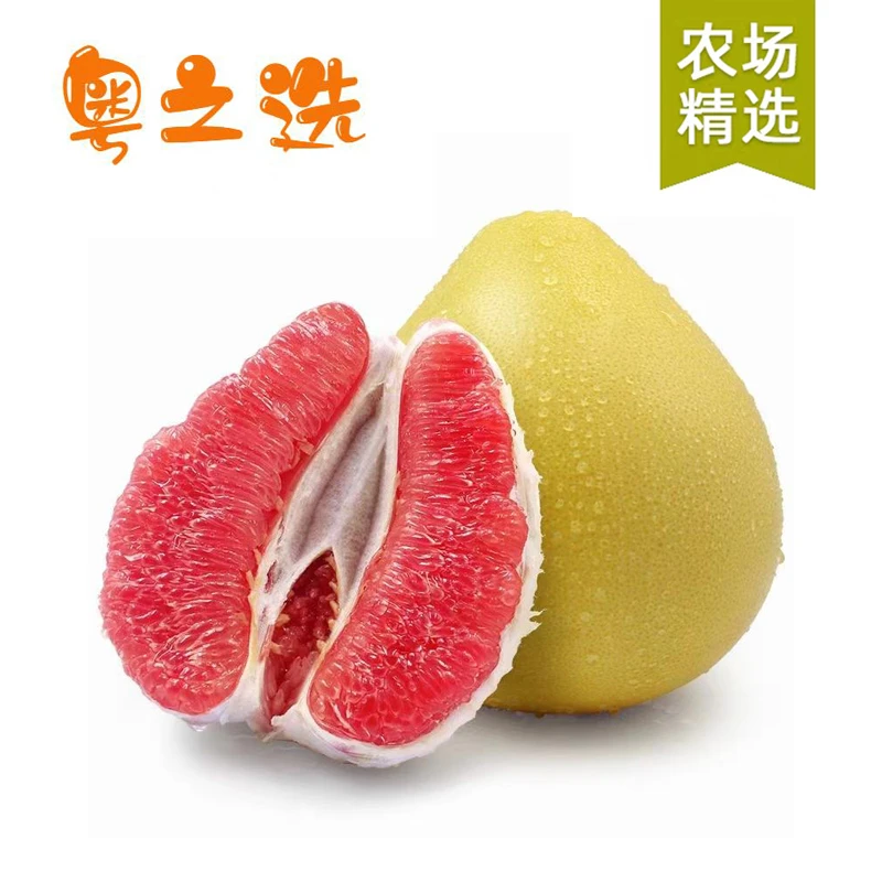 广东梅州红心柚新鲜原生态梅州蜜柚皮薄酸甜多汁