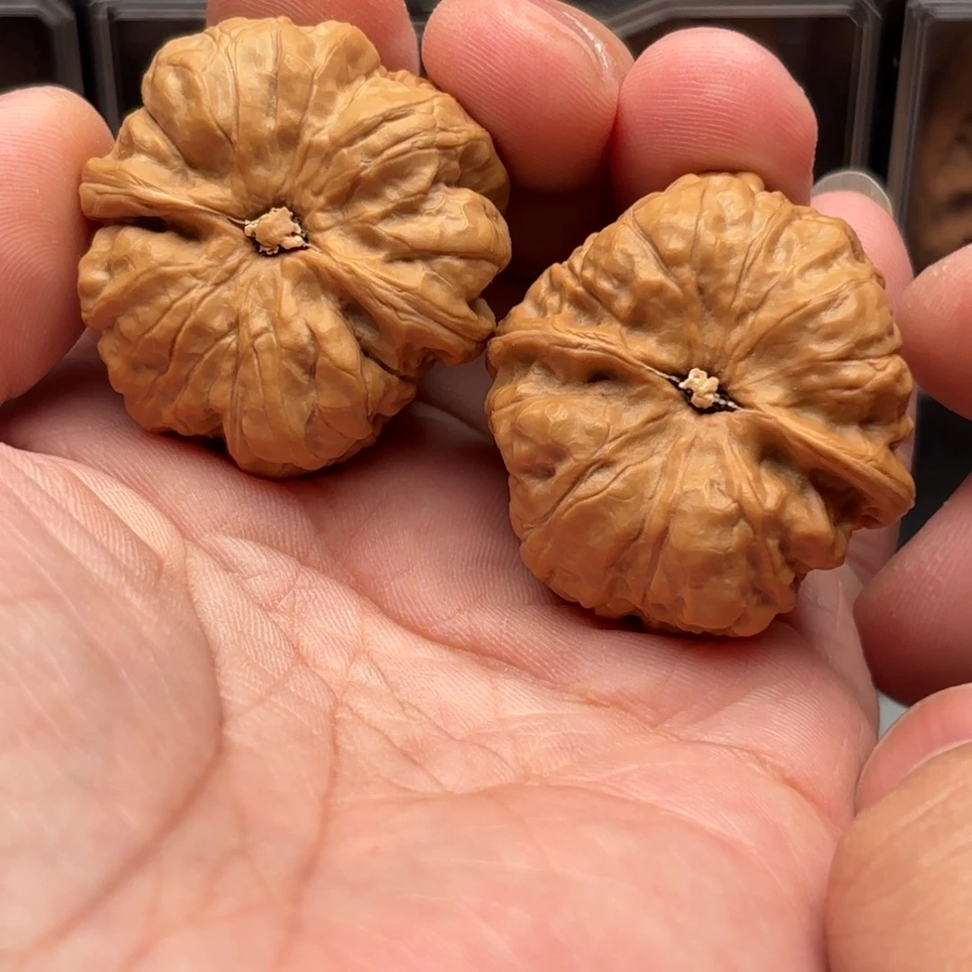 文玩核桃把件蛤蟆头