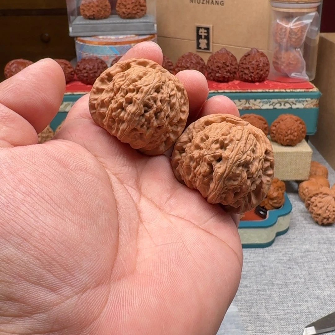 文玩核桃把件白狮100523