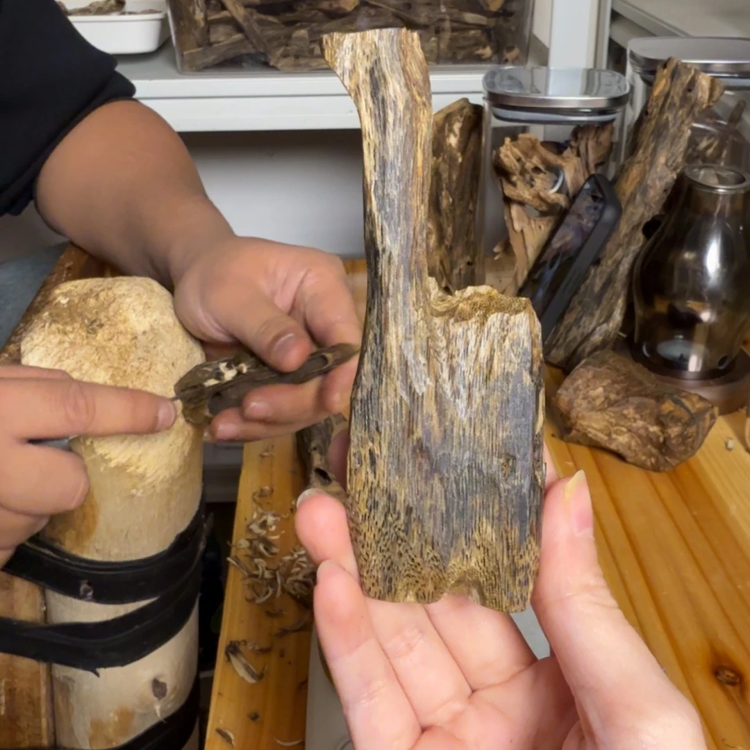 沉香绿奇虫漏香26克