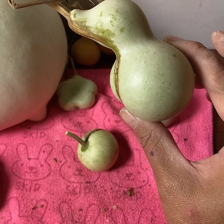 美***嗷青皮腰子葫芦手把件