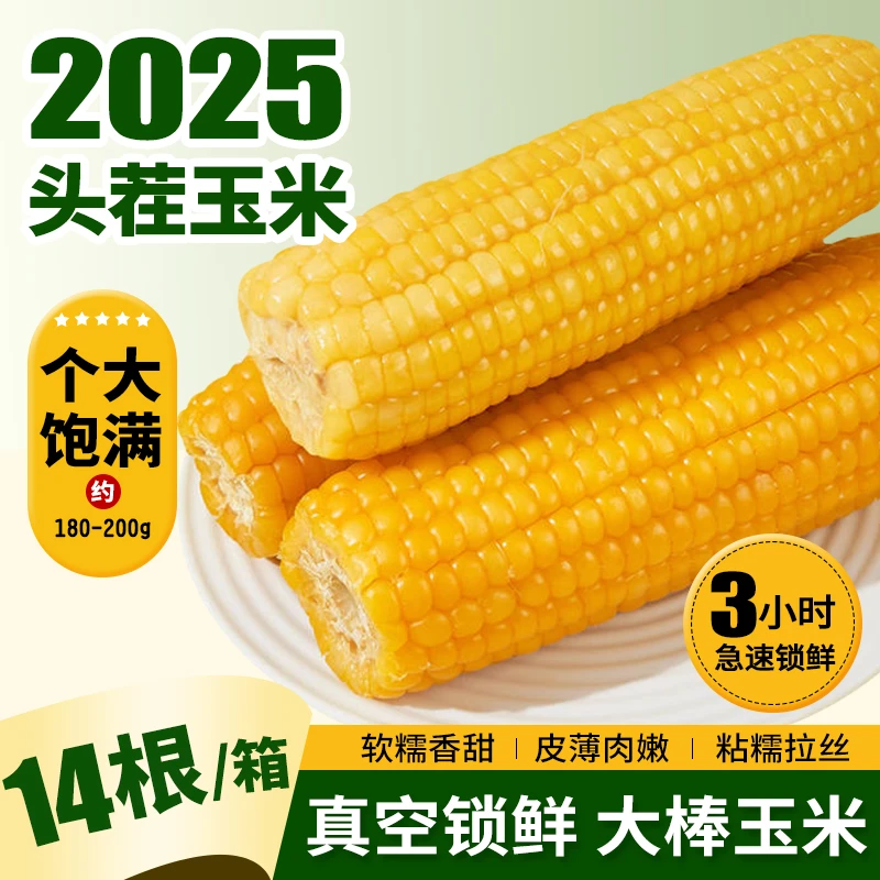 到手14根可试吃5根头茬东北黄糯玉米真空包装包邮