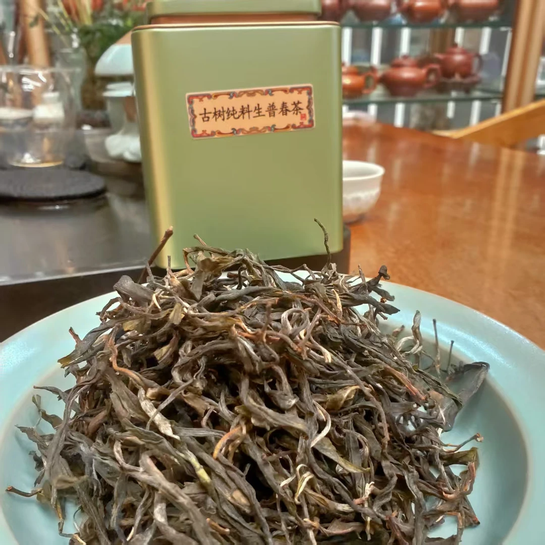 2025年头春刮风寨古树生普300年树龄50克