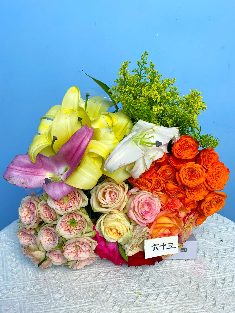 【福利套餐】 福利六十三  云南基地直发 家养 水养