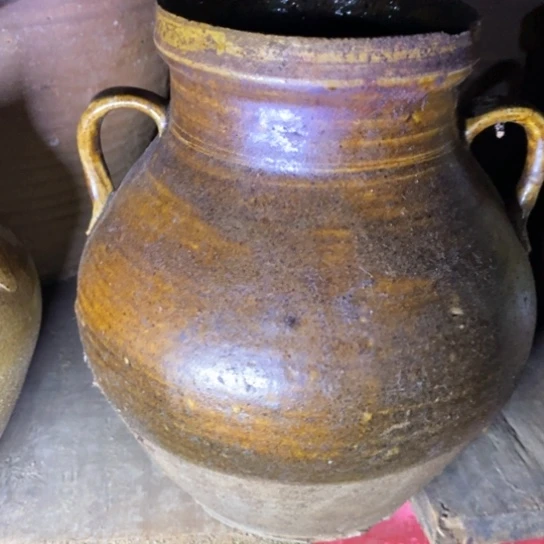 种草种菜种菜种花种树种花