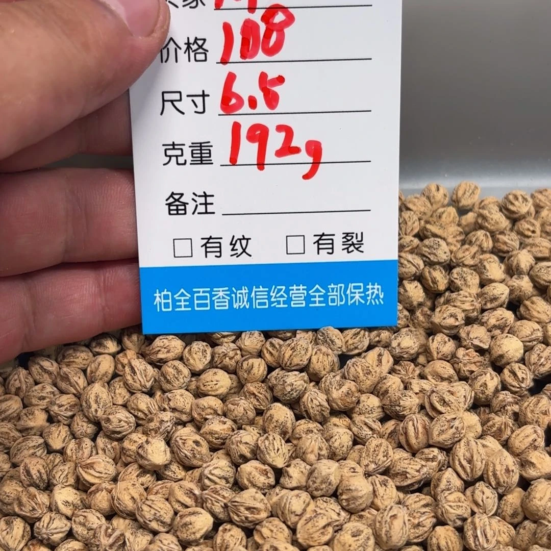 那**天柏香籽散子 192 克散子