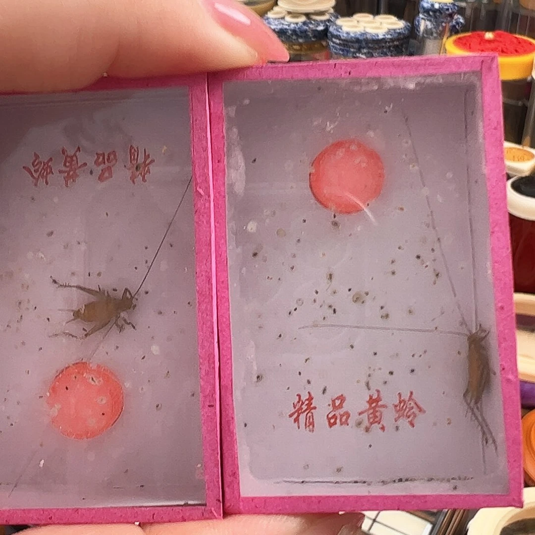厚***)哈哈哈哈哈大黄四个