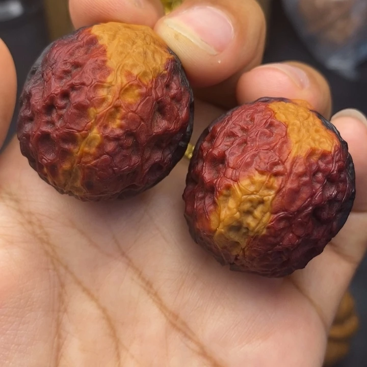 文玩核桃把件37尺蛇皮元宝