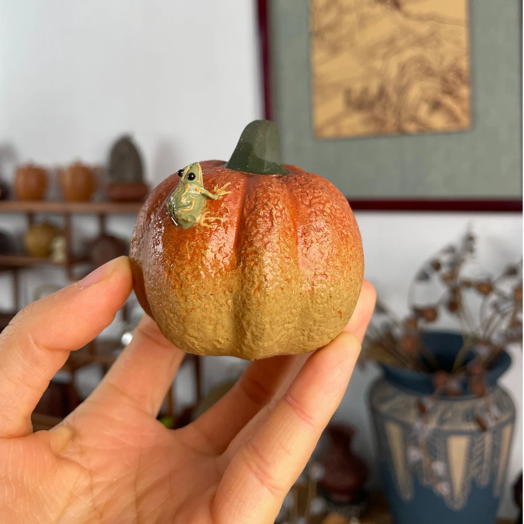 矮喷水南瓜 热冷热可喷水