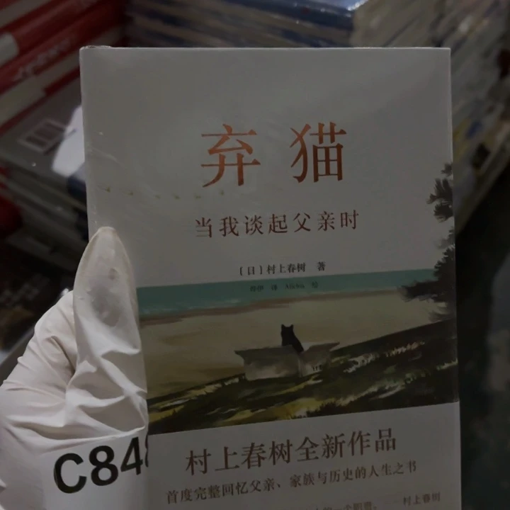 弃猫 闪购闪购闪购10