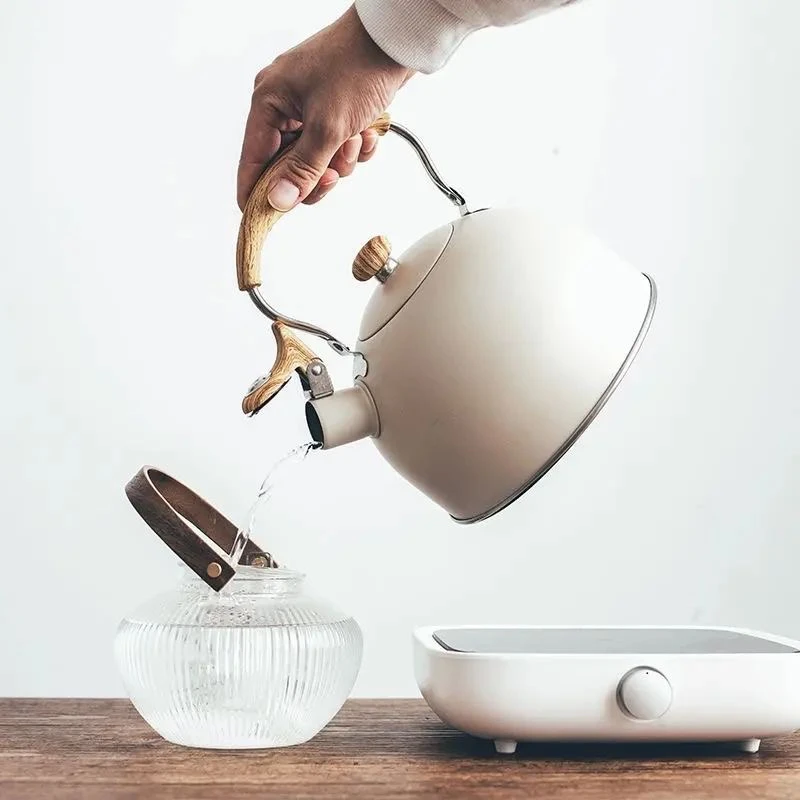 德国鸣笛精致烧水壶不锈钢家用热水壶户外露营电陶煤气电磁炉通用