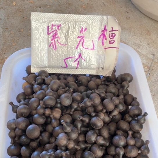 非洲紫檀（红花梨）