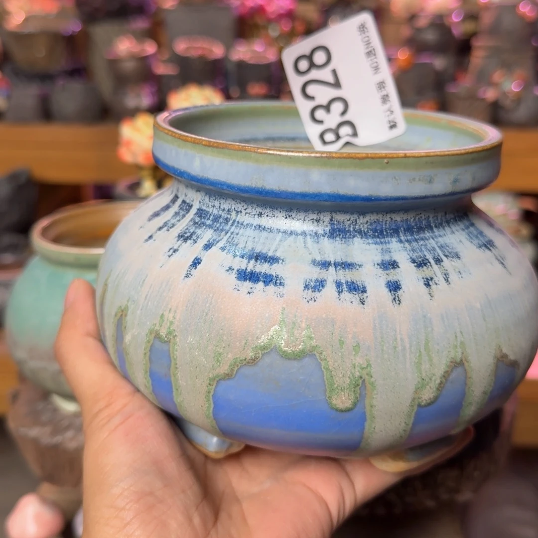 重庆小燕子欢迎大家328