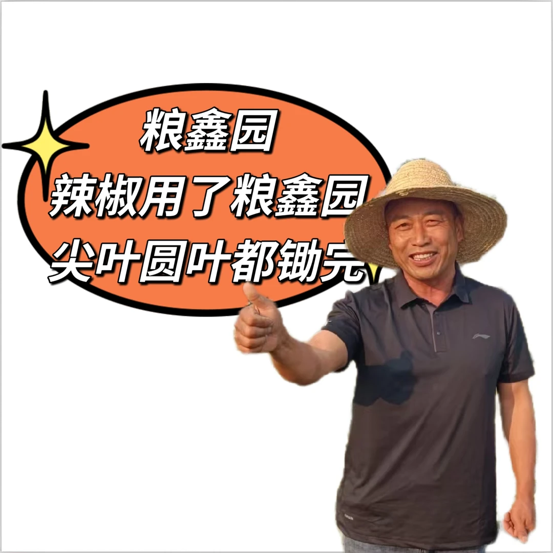 粮鑫安泰锄辣椒尖圆叶克星定向喷雾营养液