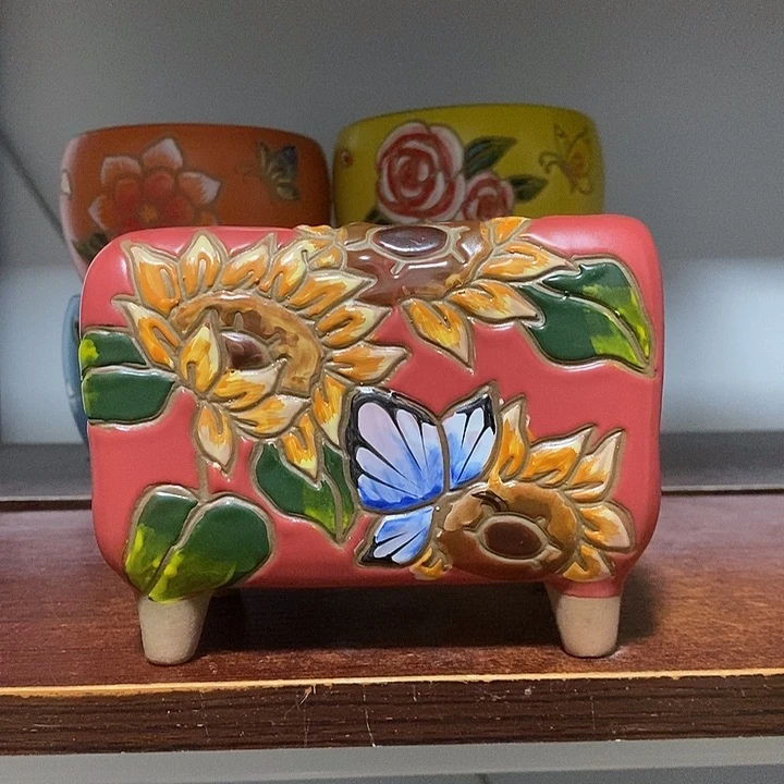 韩式多肉植物花盆