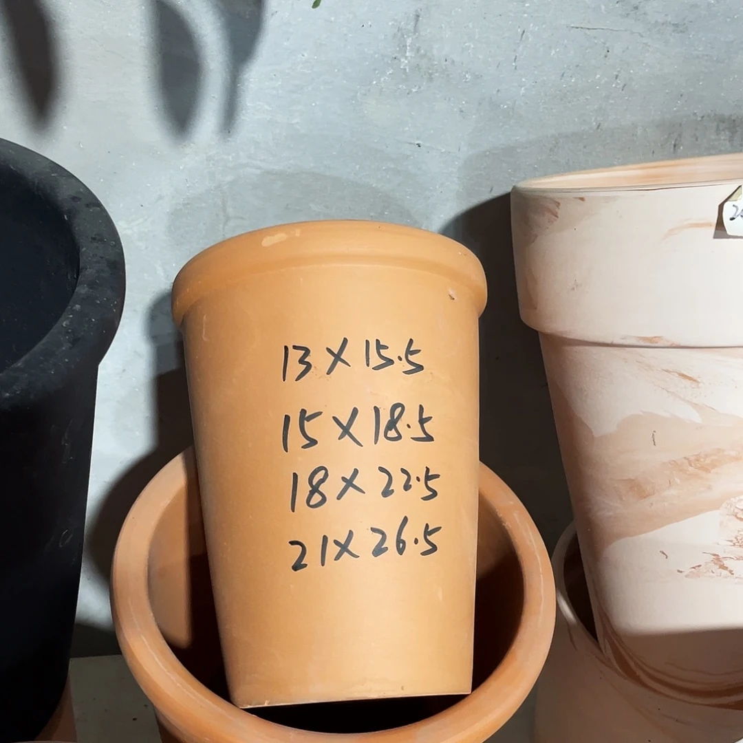 口13×15.5    红陶发1