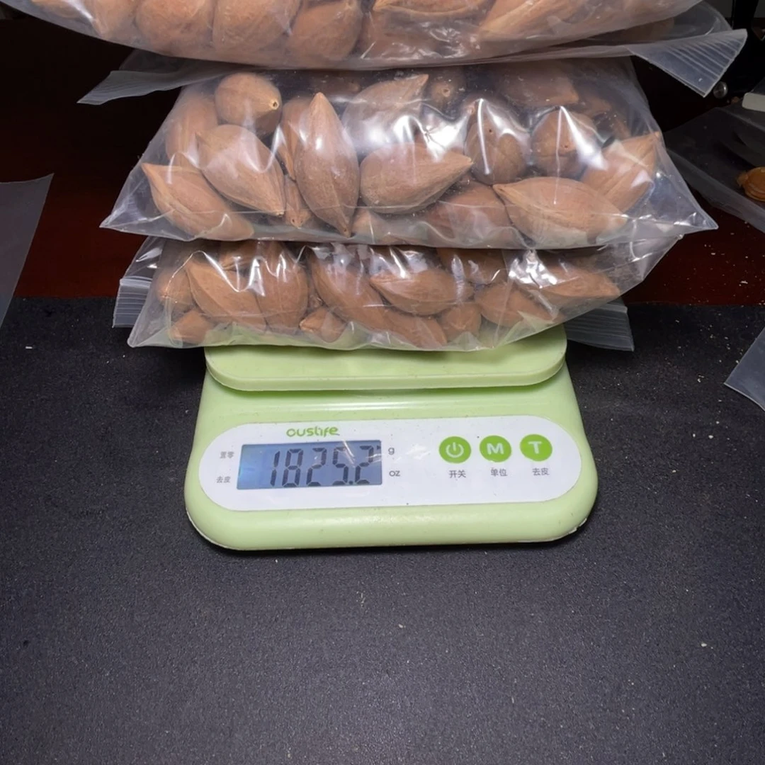 意***别橄榄核手串/手链不退不换