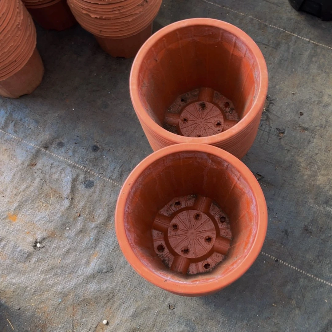 旧口径20高18 红砖盆18个