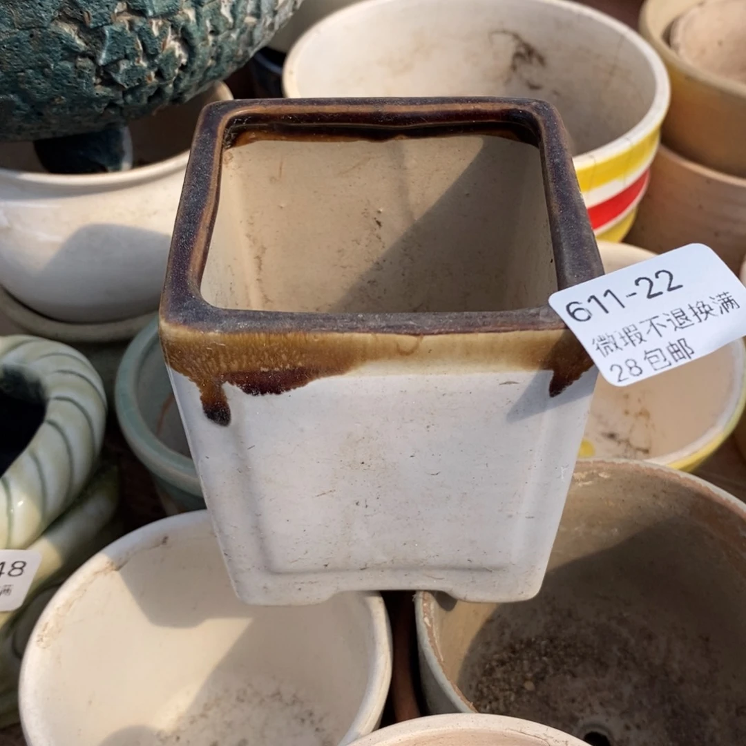 22号多肉盆口径6小可爱