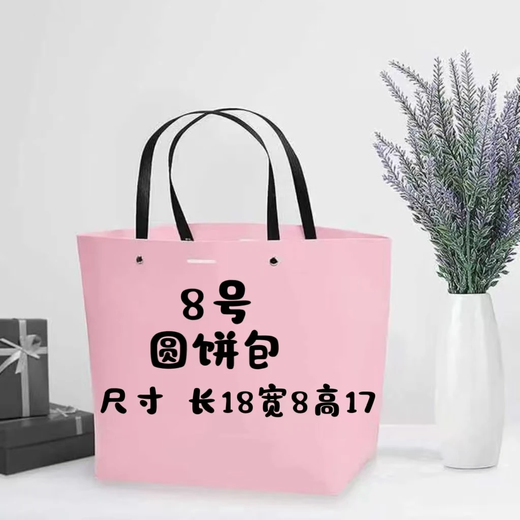 （8号）轻奢小众百搭女士简约休闲圆饼包6609-6