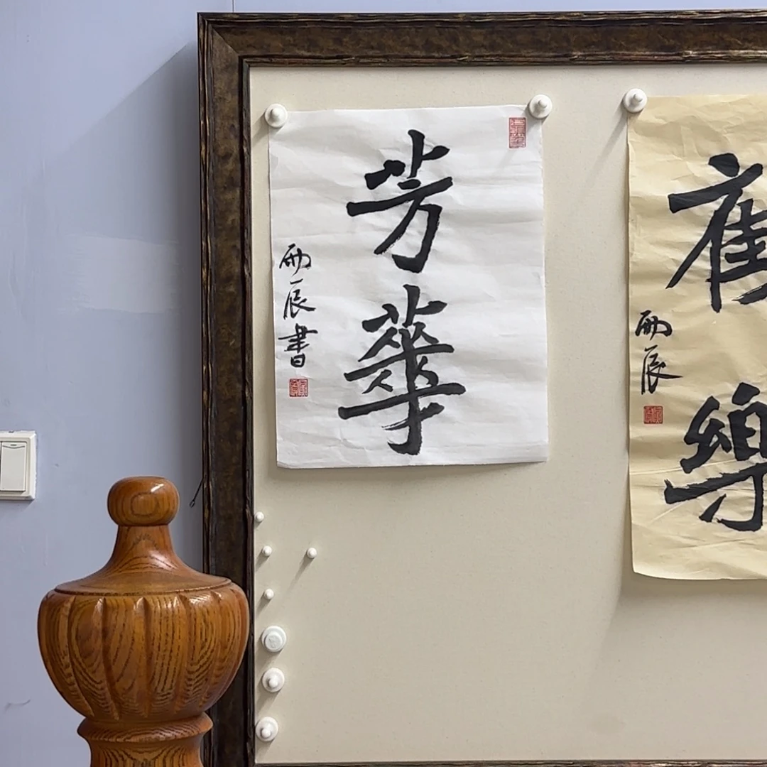 书法党震 芳华 福利