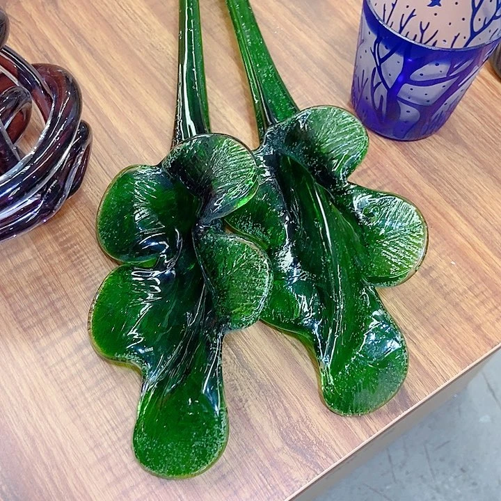 小***魏琉璃花高度40厘米9厘米