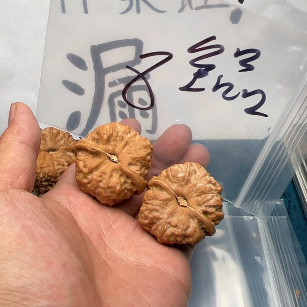 753573537753537735537