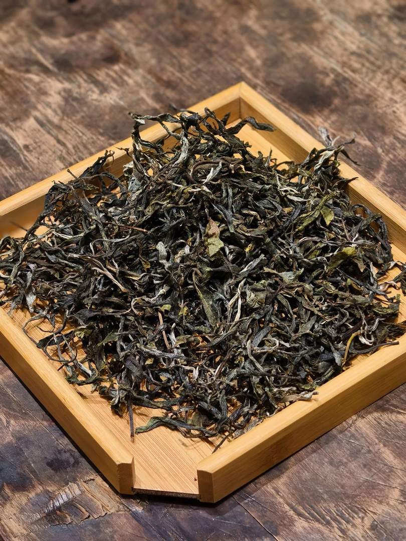 【昔归老寨45号】昔归2023 百年大树 春茶散料 普洱茶 生茶 8g*5泡