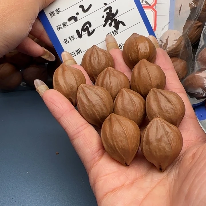 手串橄榄核橄榄核