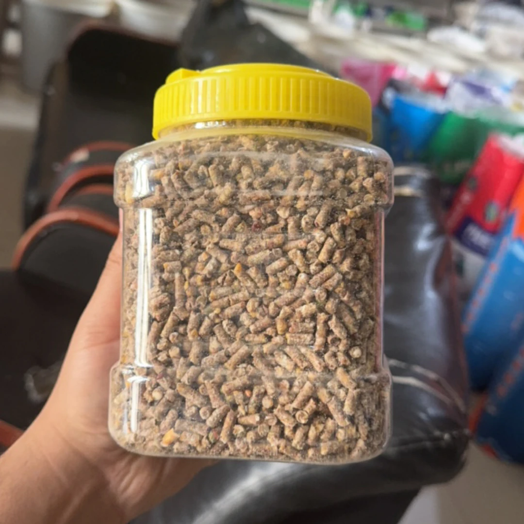 鸽子保健品鸽子粮食