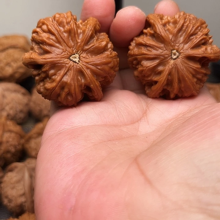 樹***樹吊坠文玩核桃你们都在