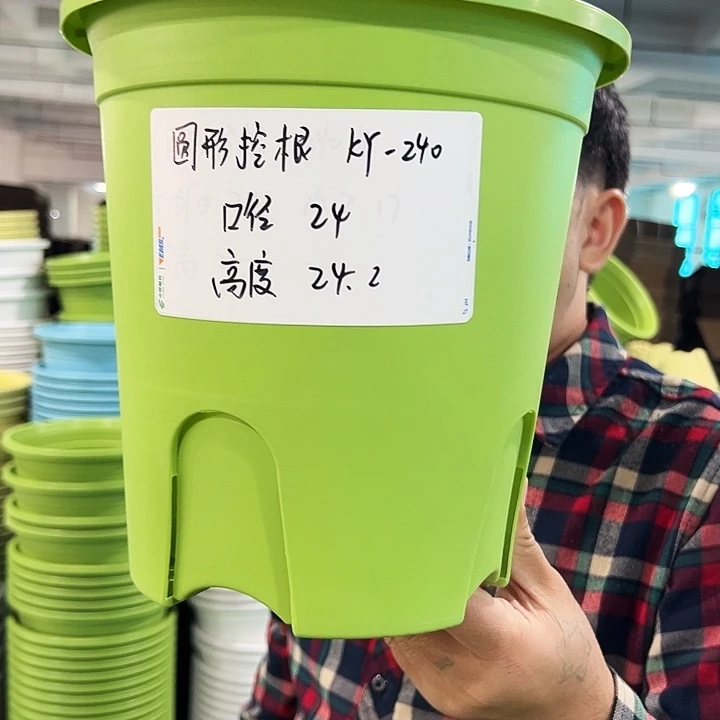 正品圆控口24高24果绿色8个无托