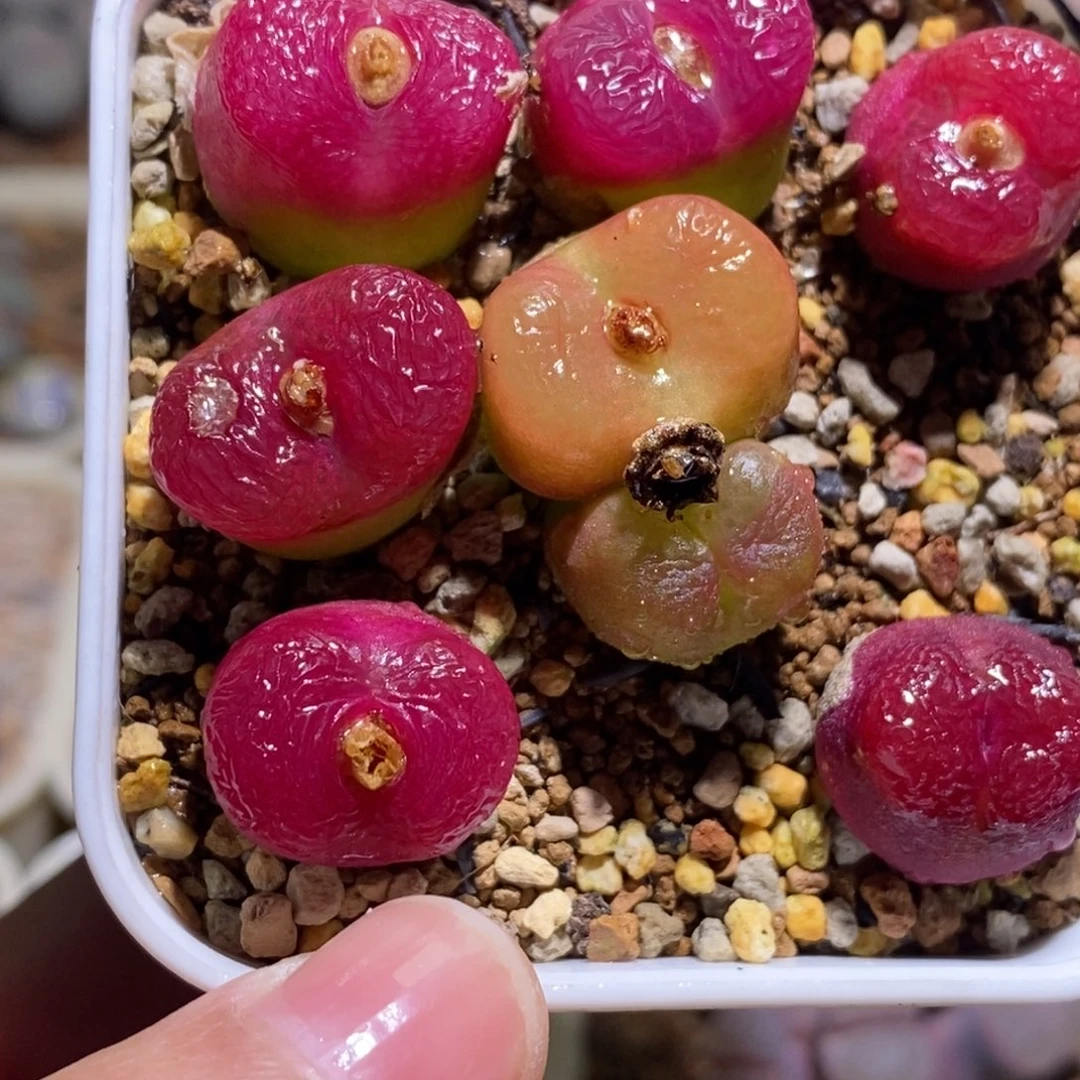 福利福利福利福利