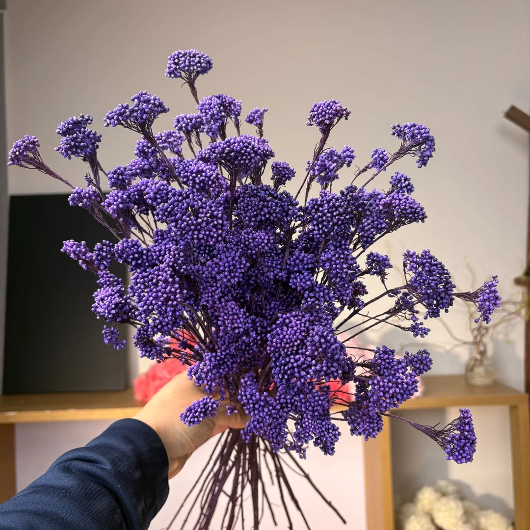 永生澳洲米花正品花束干花云朵花型多巴胺色系保鲜花真花永生花